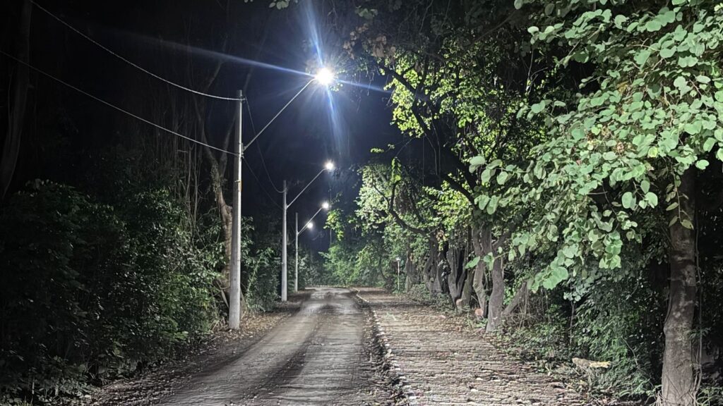 Postes de concreto com iluminação LED implantados ao longo da via principal de circulação de pedestres e veículos no Bosque do Engenho.