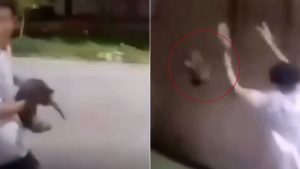 Jovem arremessando um gato em direção a um canal em Praia Grande, no litoral de São Paulo, durante flagrante de maus-tratos.