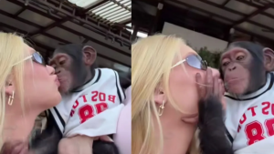 Virginia Fonseca interagindo e dando um beijo em um macaco durante visita a um zoológico de luxo em Dubai.