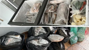 Peixes apreendidos pela Polícia Militar Ambiental durante fiscalização de comércio clandestino em Americana, São Paulo.