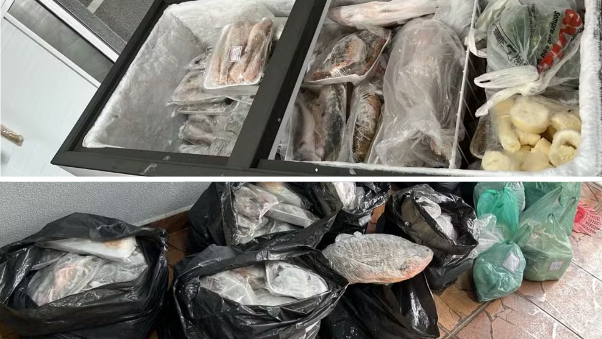 Peixes apreendidos pela Polícia Militar Ambiental durante fiscalização de comércio clandestino em Americana, São Paulo.