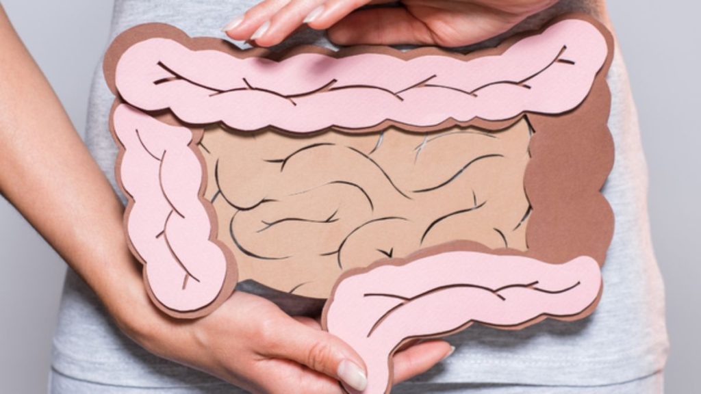 Intestino