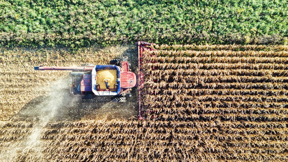 Representação visual da economia brasileira em crescimento, simbolizando a alta de 1,1% do PIB no primeiro trimestre de 2026 impulsionada por setores como agropecuária e indústria.