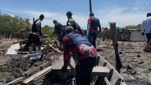 Pescadores artesanais atuando na limpeza de resíduos e preservação ambiental nos manguezais do litoral paulista pelo programa Mar Sem Lixo.