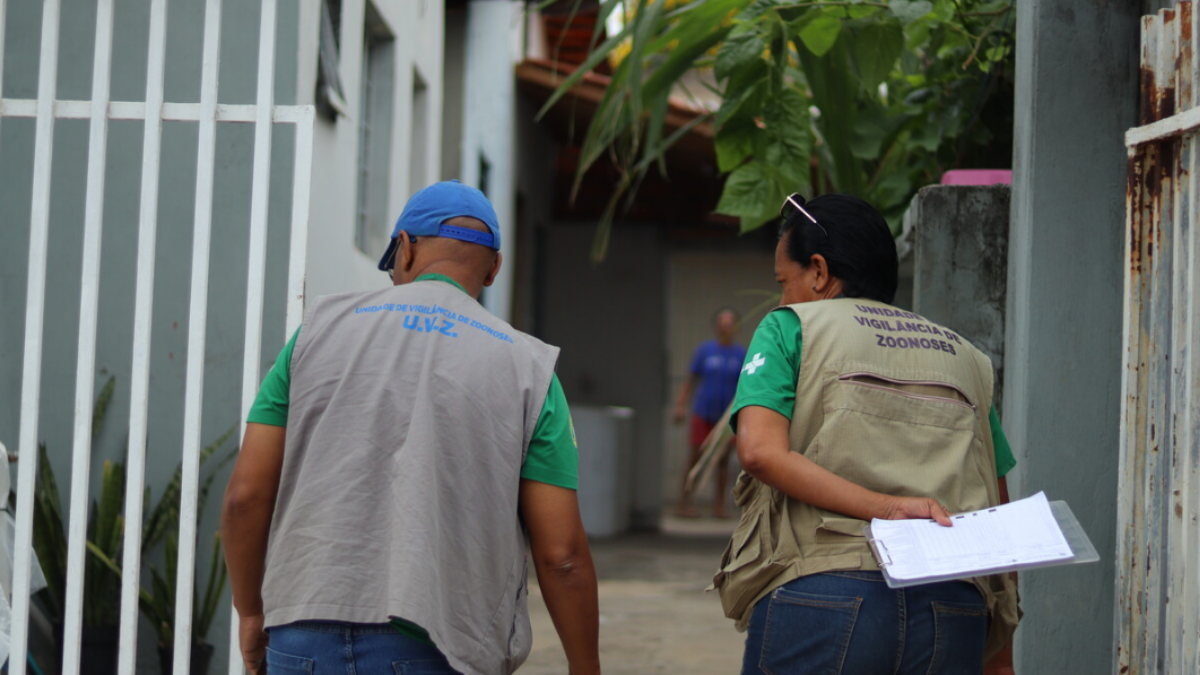 Foto destaque Dengue Hortolândia