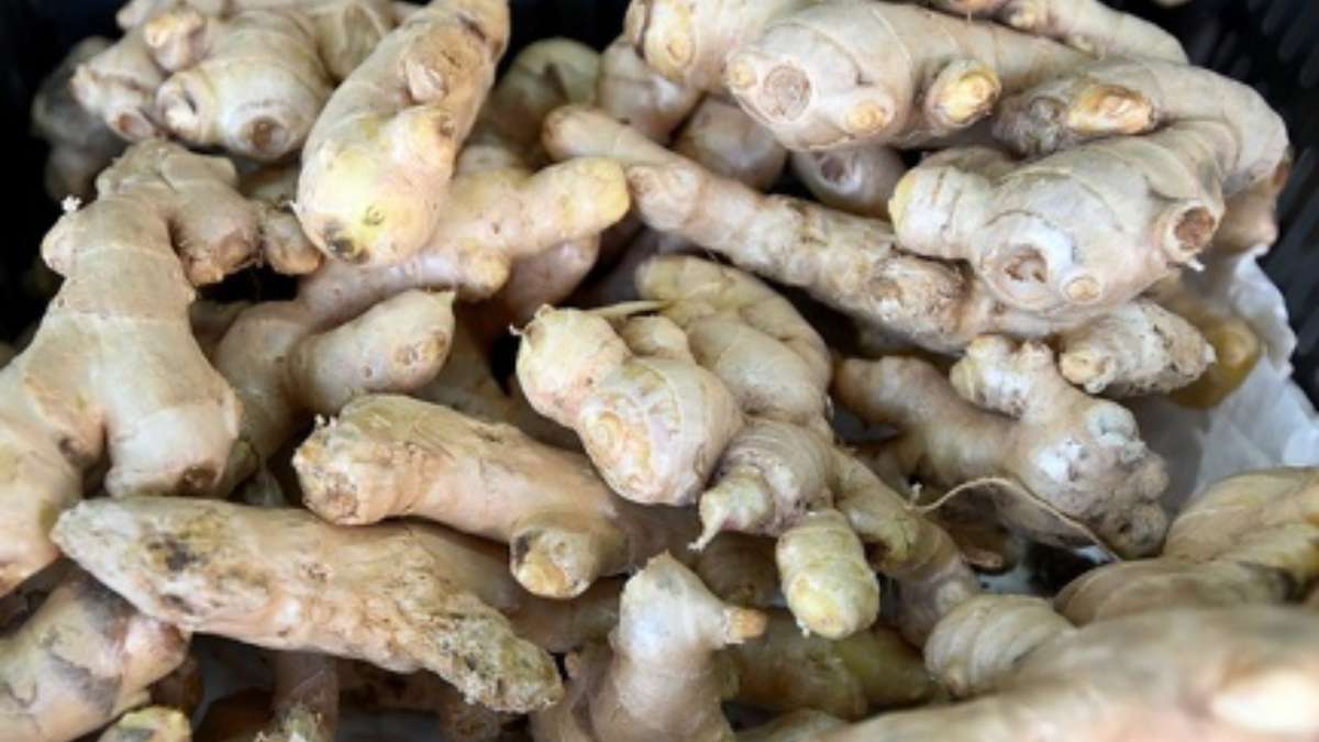 Preços ingredientes típicos juninos em Campinas