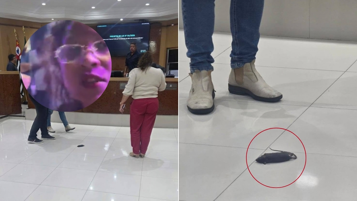 Mulher realiza protesto na Câmara de Mongaguá arremessando um rato morto no plenário após aprovação de empréstimo milionário pela prefeitura.