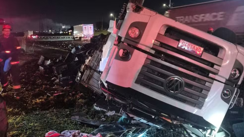 Carreta carregada com mangas tombada no acostamento da Rodovia Anhanguera, em Sumaré, após acidente que deixou o motorista ferido.