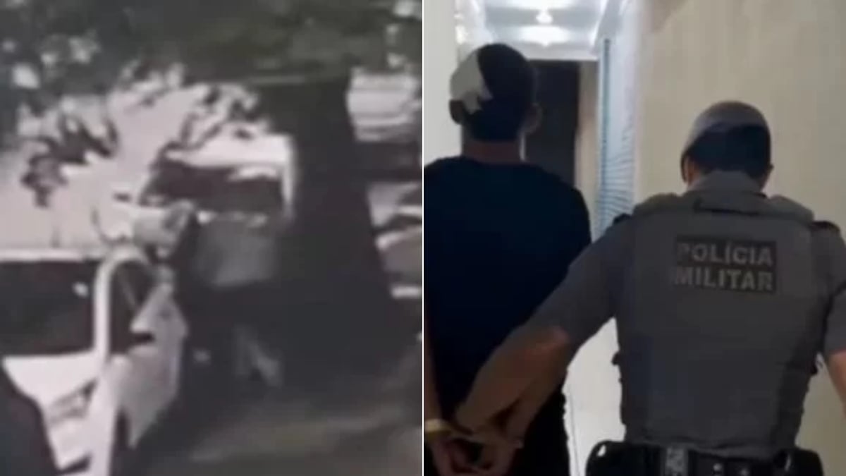 Mulher é mordida por ladrão ao tentar impedir roubo em Santos