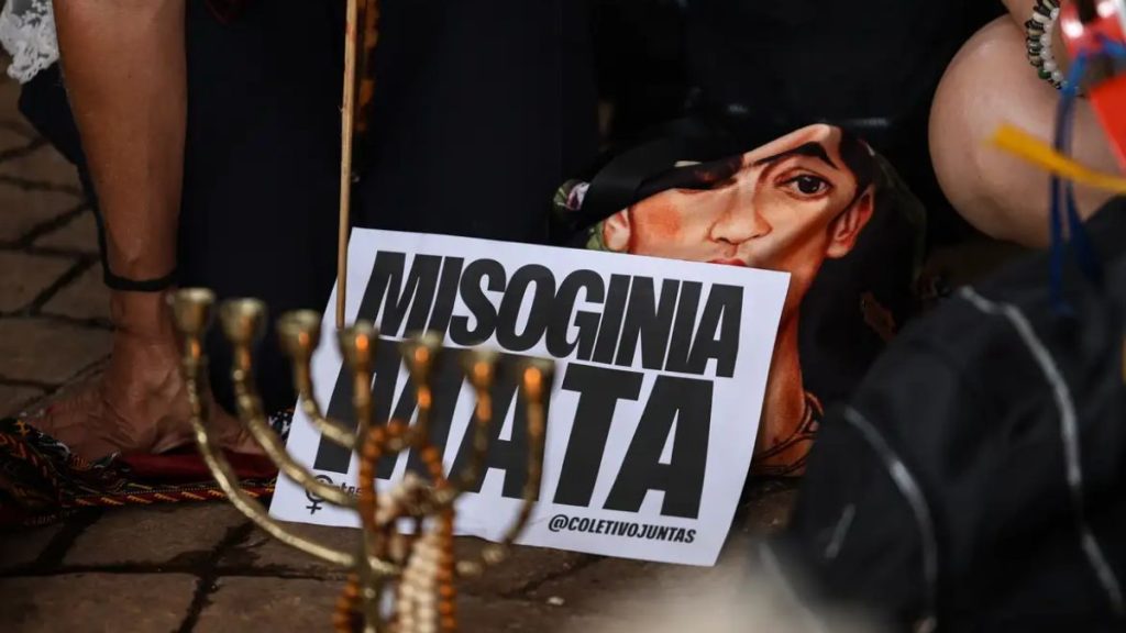 Protesto de tema discutido no plenário sobre misoginia nas redes sociais e é equiparado com racismo no Brasil