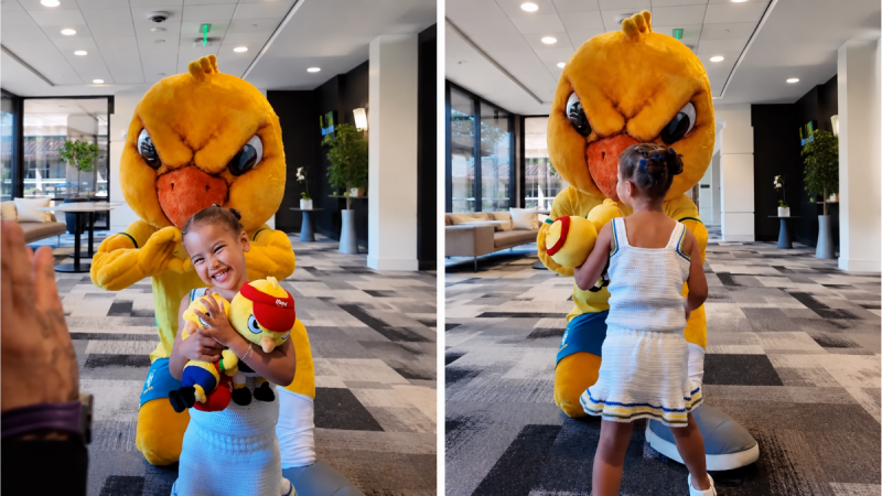 filha de neymar, Mavie, com o Canarinho da Seleção Brasileira em momento de diversão e fofura
