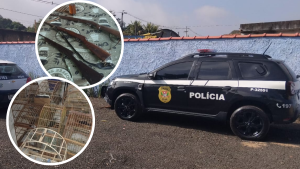 Operação Gaiola Aberta em Piracicaba: viatura da Polícia Civil ao lado de aves em cativeiro em gaiolas, com documentos apreendidos durante ação no bairro Campestre; homem preso em flagrante.