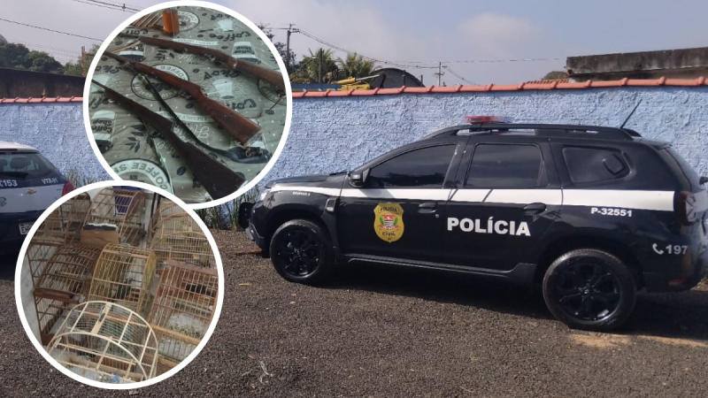 Operação Gaiola Aberta em Piracicaba: viatura da Polícia Civil ao lado de aves em cativeiro em gaiolas, com documentos apreendidos durante ação no bairro Campestre; homem preso em flagrante.