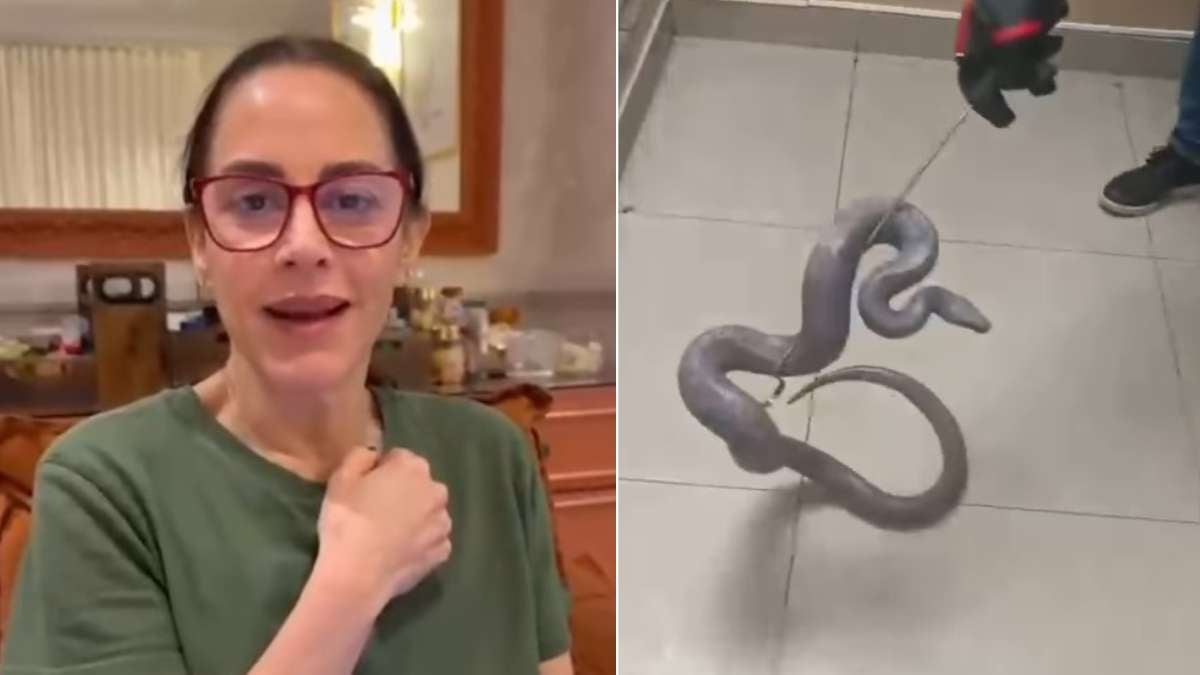 Silvia Abravanel aparece em vídeo ao lado de uma jiboia de estimação encontrada em um lugar inusitado, após ficar desaparecida desde janeiro.