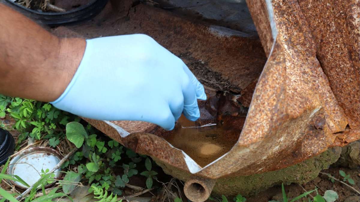 Imagem mostra uma pessoa usando luvas azuis para inspecionar uma caixa enferrujada com água parada no quintal, destacando cuidados contra a dengue campinas.