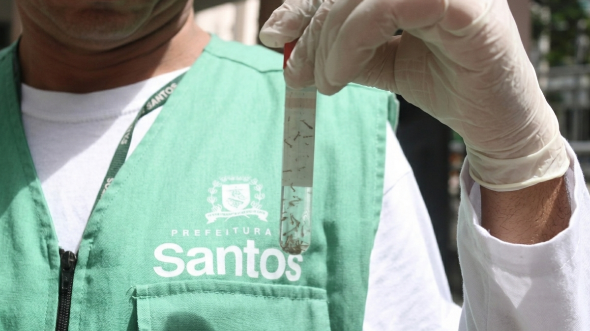 Foto destaque dengue Santos