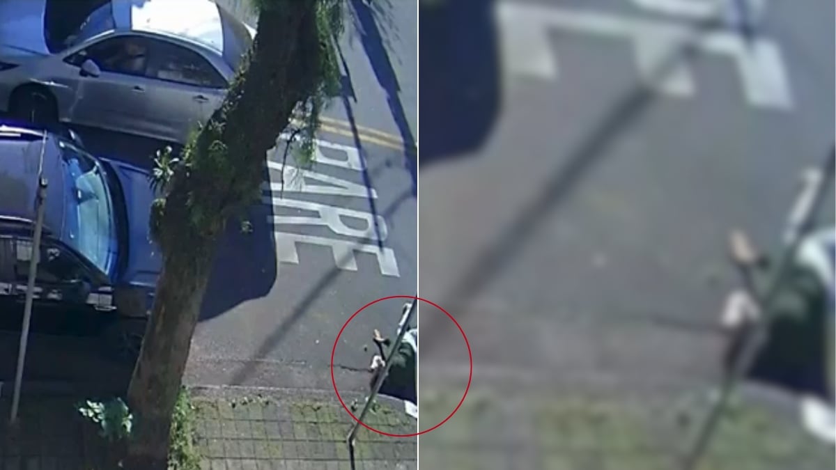 Imagem dividida mostra um vídeo com marcação em vermelho ao redor de uma pessoa no chão na rua, em situação de atropelamento, com carros e via urbana em Santos.