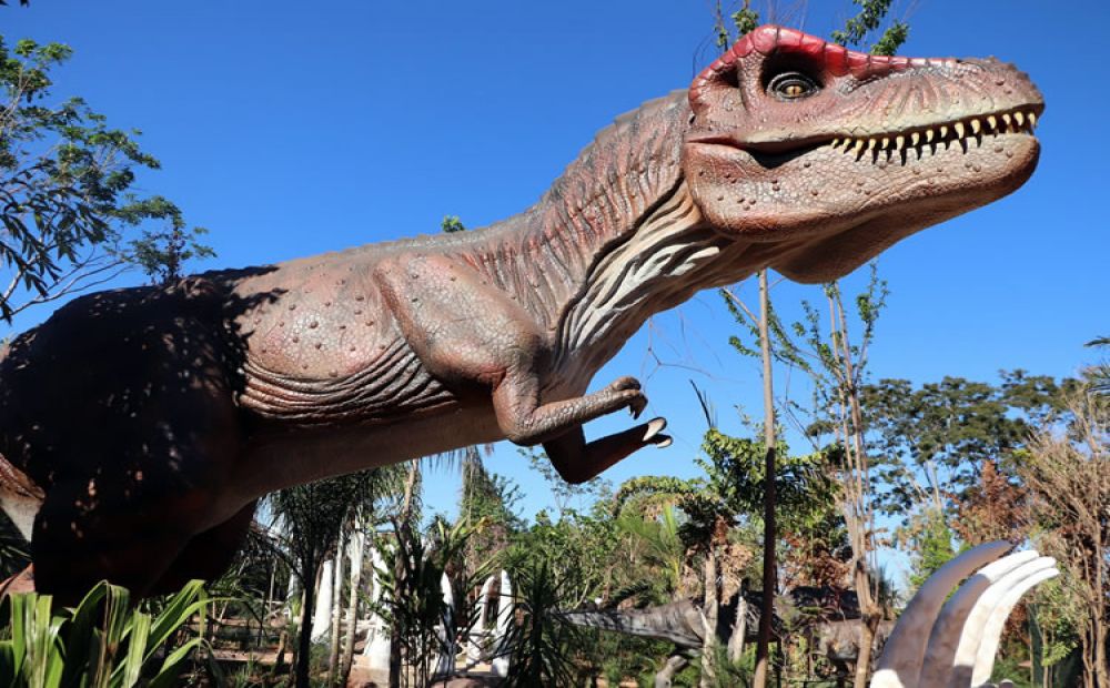Vale dos Dinossauros: parque temático com réplicas animadas em tamanho real e experiências educativas.