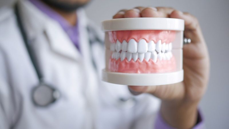 Profissional de odontologia mostra um modelo de arcada dentária em close, destacando cuidado e saúde bucal em campanha da Uniodonto Campinas com foco na cooperação.