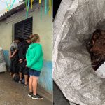 Polícia apreende máquinas caça-níqueis e interdita ferro-velho irregular em Santos