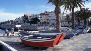 Verão em Portugal: barcos de pesca e lanchas atracados em um cais com palmeiras ao fundo, e casas e prédios à beira-mar sob céu claro
