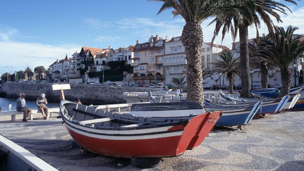 Verão em Portugal: barcos de pesca e lanchas atracados em um cais com palmeiras ao fundo, e casas e prédios à beira-mar sob céu claro