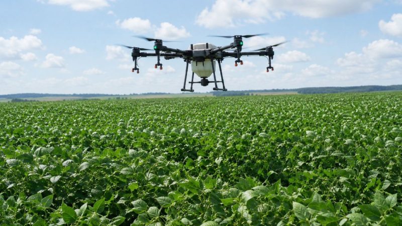 Drones agrícolas sobrevoando uma plantação verde ao ar livre, com a estrutura de voo e câmeras visíveis, destacando a automação no manejo da lavoura.