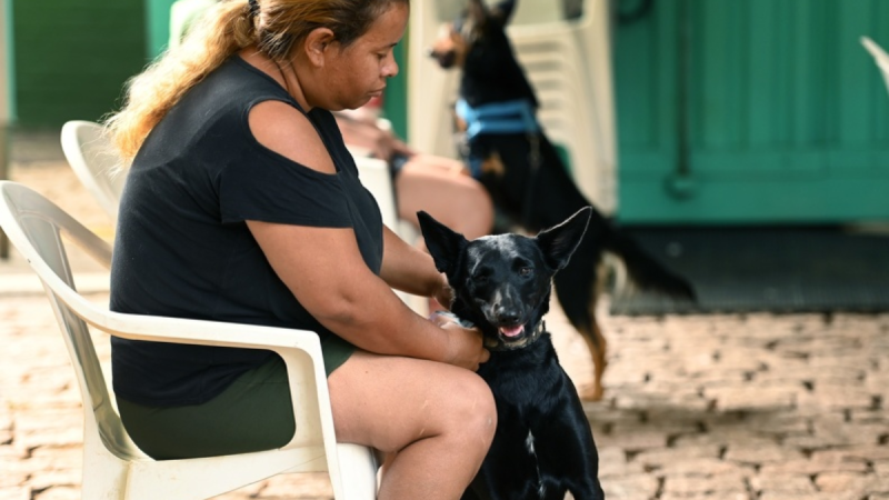 Consultório pet movel