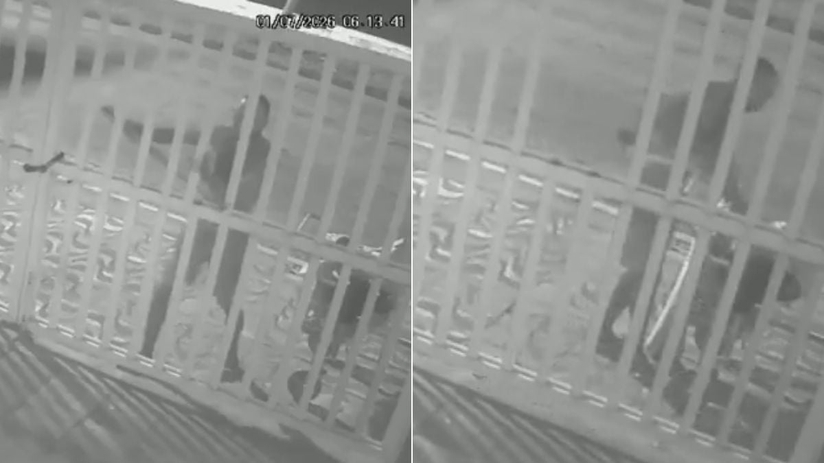 Homem furta peças de portão em Santos, usando carrinho para transportar componentes metálicos de um local tipo escritório. Imagem de vídeo.