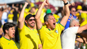 Torcida brasileira em partida de futebol com camisa amarela, homens comemorando em estádio com bandeiras e arquibancada ao fundo, em contexto de operação de trânsito em Campinas para jogo do Brasil