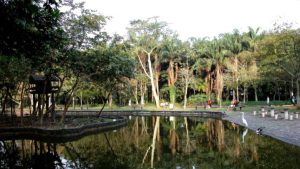 Jardim Botânico Chico Mendes