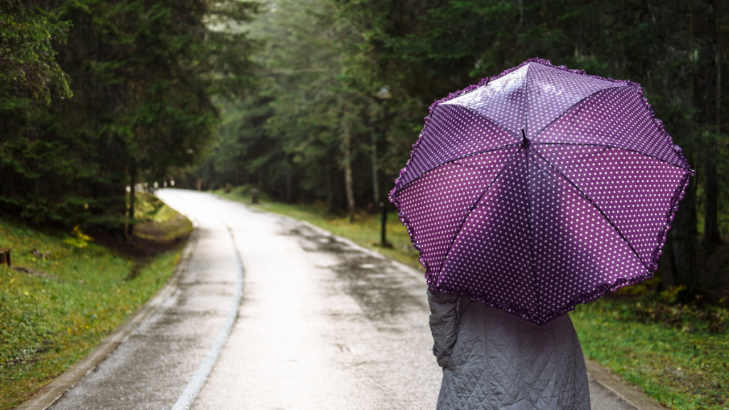 Previsão do Tempo no estado de São Paulo: pessoa caminhando com guarda-chuva roxo em estrada molhada, clima chuvoso e instável, sugerindo mudança de tempo e frio