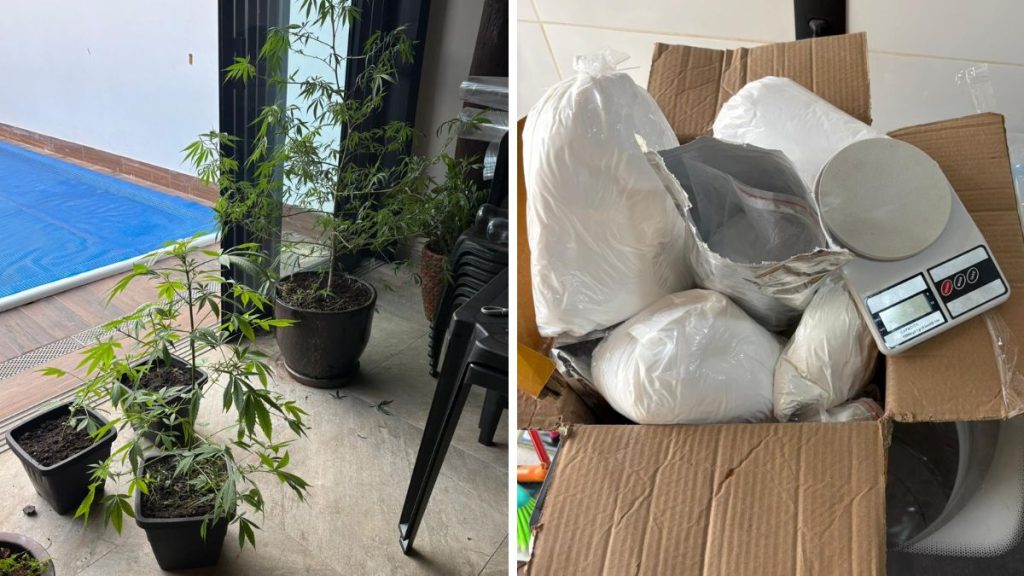 Imagem em dois quadros mostra um espaço com vasos contendo plantas de maconha e, em outro, sacos com substâncias químicas e balança de precisão apreendidos em laboratório de cocaína em Rio Claro, em operação policial.