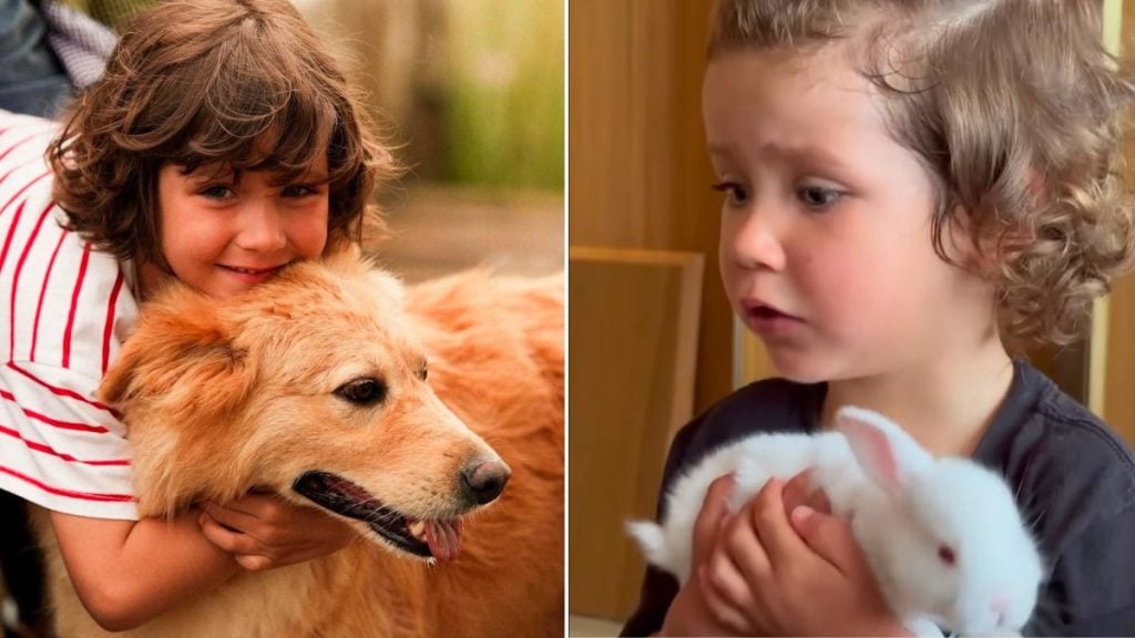Filho caçula de Bruno Gagliasso e Giovanna Ewbank, Zyan completa 6 anos