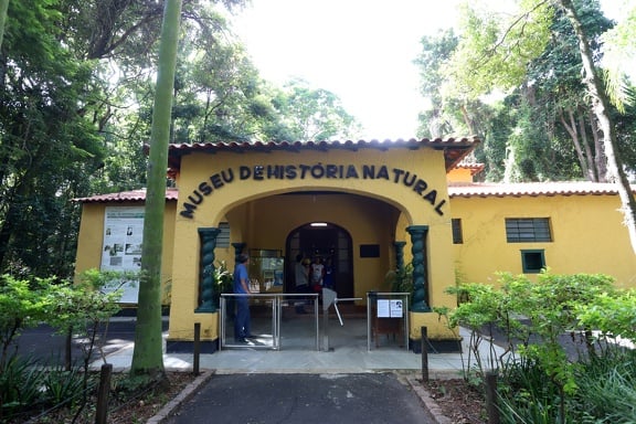 Bosque dos Jequitibás conta com Museus de História Natural