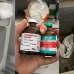 http://Clínica%20veterinária%20com%20alvará%20falso%20é%20fechada%20após%20irregularidades%20em%20Mongaguá