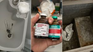 Clínica veterinária fechada em Mongaguá: imagens mostram equipamentos e medicamentos veterinários, além de materiais em recipiente, após fiscalização por irregularidades.