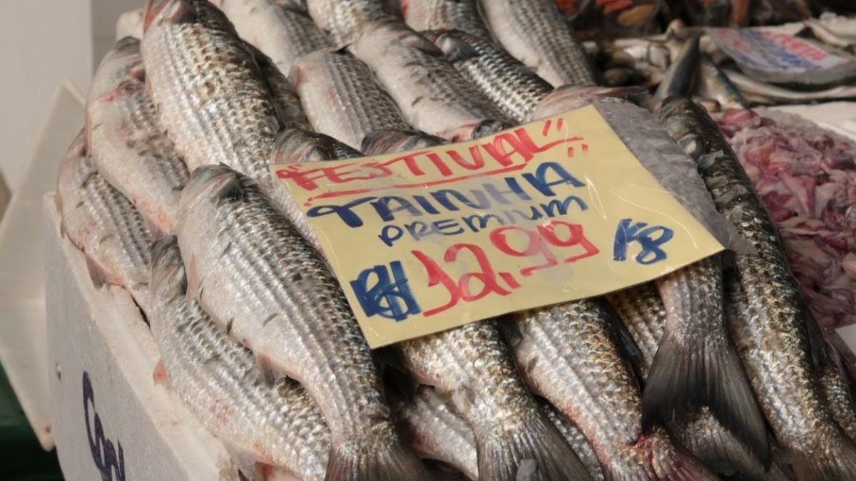 Festival da tainha em Santos: várias tainhas e peixes frescos expostos em caixa com etiqueta de preço, destaque para o rótulo do mercado no cenário do evento