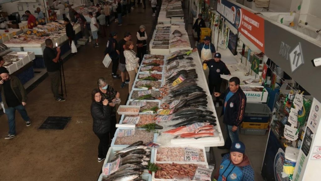 Vista de um mercado de peixes com várias bancas alinhadas e fileiras de pescados e frutos do mar, com pessoas circulando no ambiente do Festival da Tainha e Camarão do Mercado de Peixes de Santos
