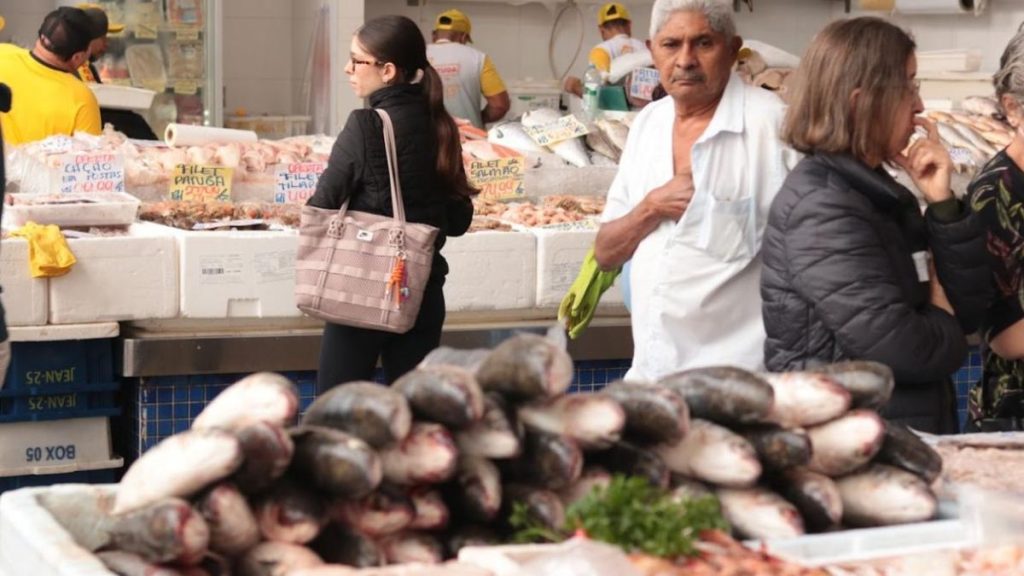 Peixes expostos em um mercado durante o Festival da tainha: fileiras de tainhas e outros pescados em caixas, com pessoas atendendo em Santos no Mercado de Peixes.