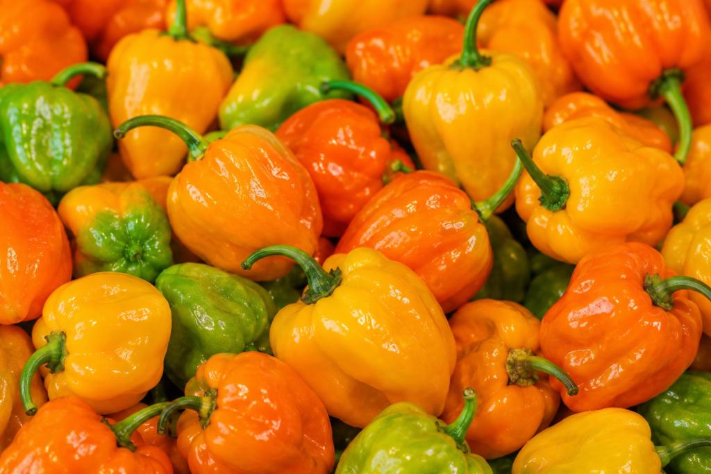 Pimenta-de-cheiro muito usada no Norte e Nordeste, entrega um perfume marcante sem necessariamente incendiar o paladar. É excelente para peixes, frutos do mar, caldos, ensopados, pratos amazônicos, legumes refogados e conservas.