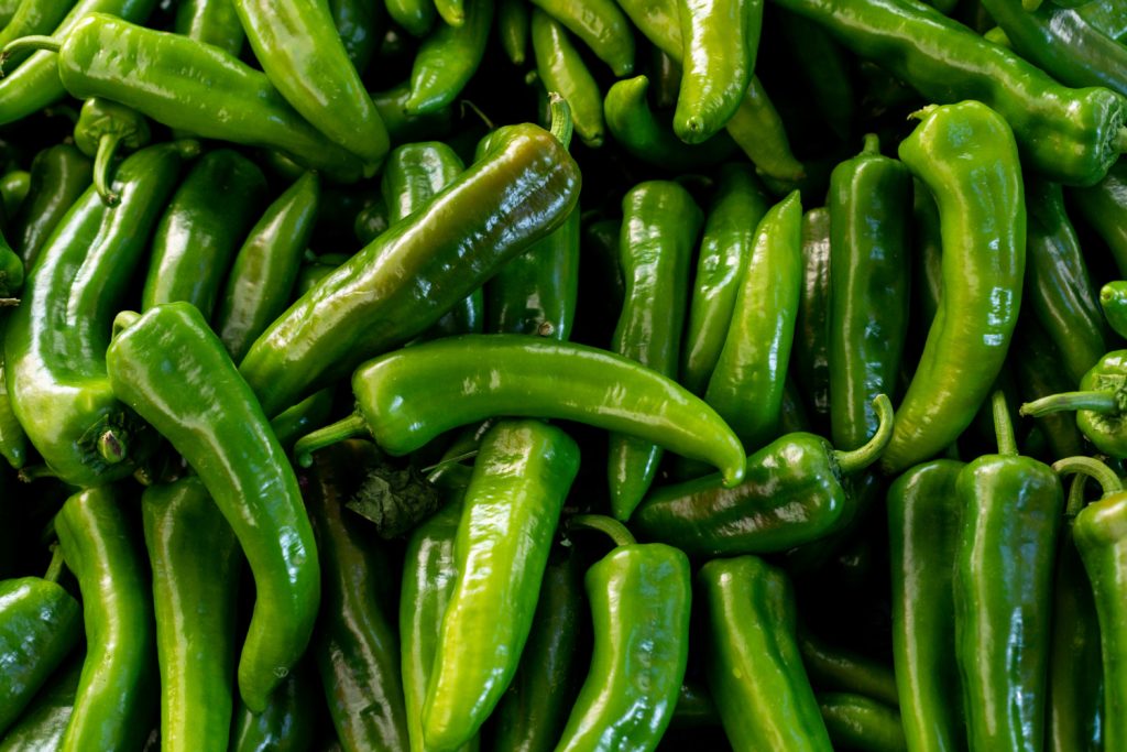 Jalapeño tem ardência média e sabor marcante. Verde, é mais fresca e herbácea; madura, ganha notas adocicadas. Vai muito bem em tacos, nachos, hambúrgueres, burritos, conservas e recheios. Quando é defumada, vira o famoso chipotle.