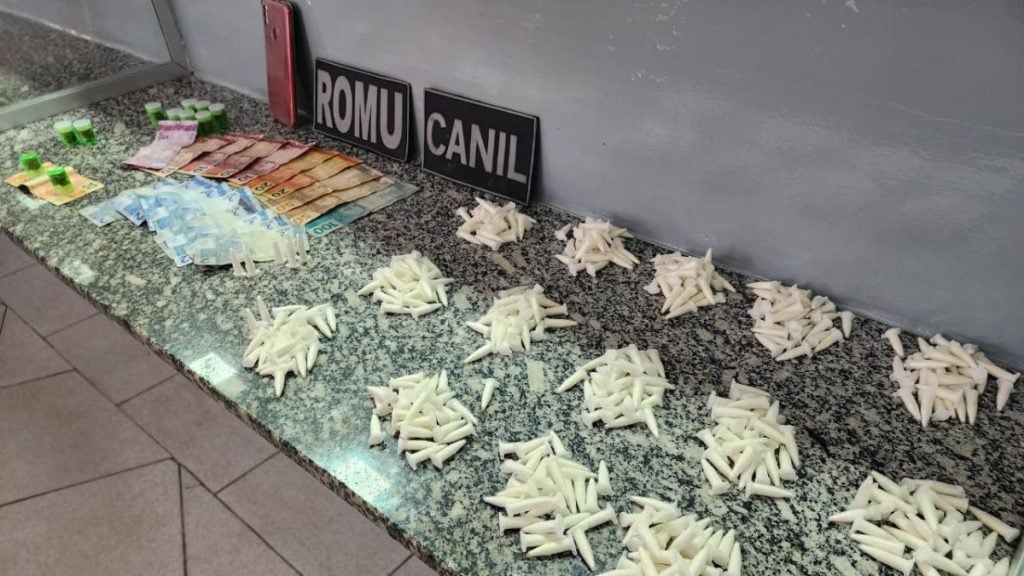 Adolescentes são apreendidos com 450 pinos de cocaína em Limeira
