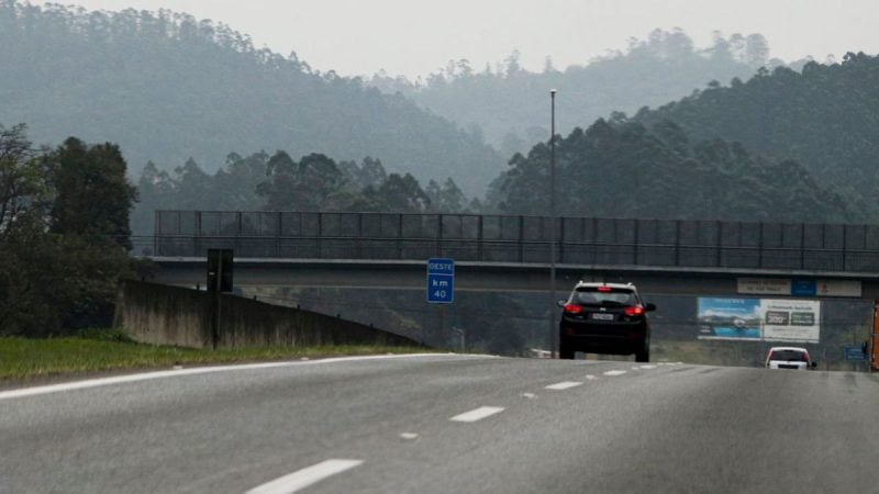 Rodovia em meio a neblina e vegetação ao fundo, com fumaça no horizonte, sugerindo queimadas no interior paulista durante tempo seco e aumento do risco de incêndios