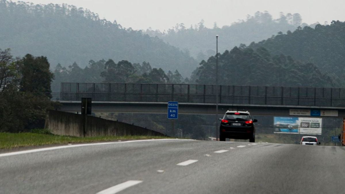 Rodovia em meio a neblina e vegetação ao fundo, com fumaça no horizonte, sugerindo queimadas no interior paulista durante tempo seco e aumento do risco de incêndios
