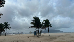 Praia com areia e coqueiros na Baixada Santista sob céu nublado, cenário associado a praias impróprias para banho — veja quais regiões estão inadequadas