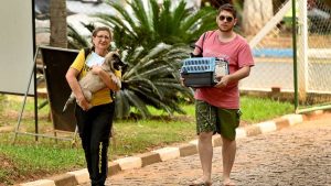 datas do consultório veterinário móvel