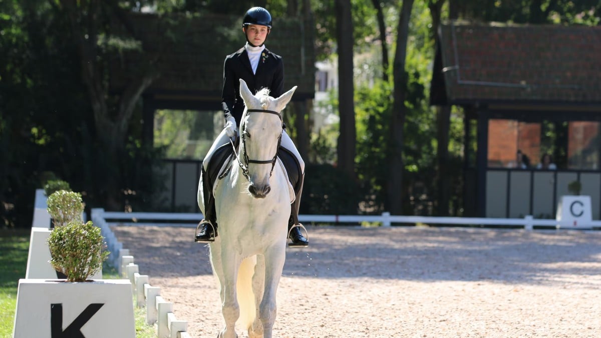 Campeonato Brasileiro de Salto Iniciante 2026: Atleta de hipismo realizando salto em pista no Haras Cooper durante o Salto para iniciantes no Campeonato Brasileiro 2026.