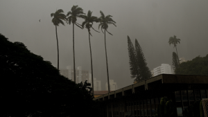 Ciclone bomba: São Paulo reforça medidas e orientações diante da chegada do ciclone, com céu nublado, palmeiras ao fundo e prédios ao longe em cenário urbano sob tempo instável.