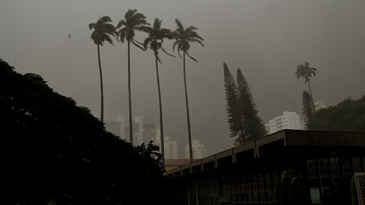 Céu nublado e escurecido em Campinas, com palmeiras e prédios ao fundo, indicando alerta para tempestades e rajadas de vento nesta quinta (30). Alerta Defesa Civil Campinas
